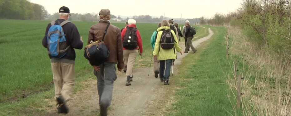 En flok på pilgrimsvandring